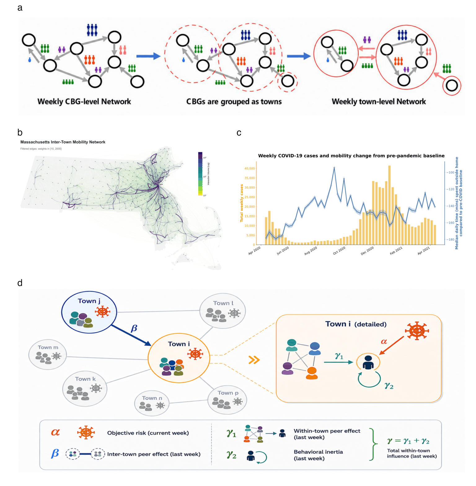 Networked risk perception and peer effects in social systems: the case of a pandemic
